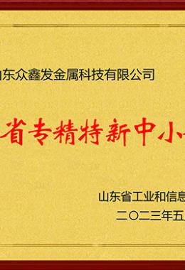 Specialized, refined and innovative small and medium-sized enterprises